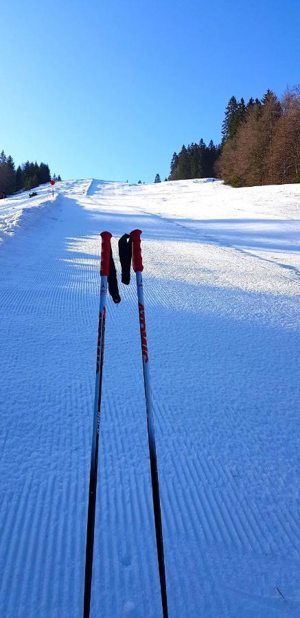 Residenz Grafenmatt Feldberg Apartman Feldberg  Kültér fotó